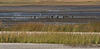 _A010105rotcroof30.jpg